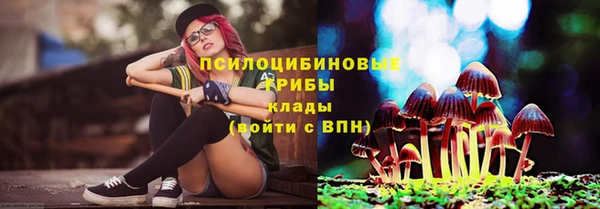 гашик Майский