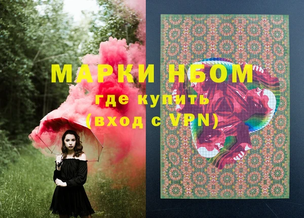 прущие грибы Магадан