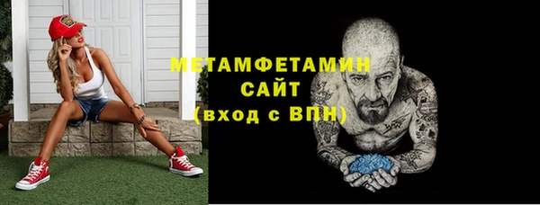 прущие грибы Магадан