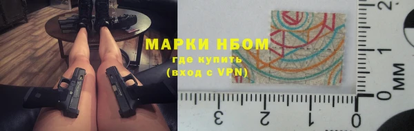 гашик Майский