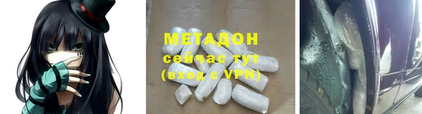 прущие грибы Магадан