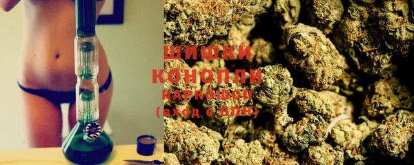 прущие грибы Магадан