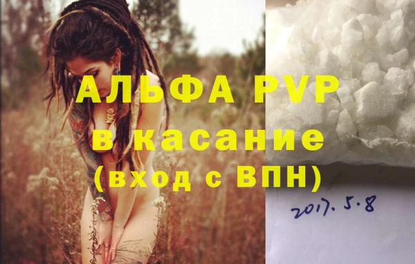 гашик Майский