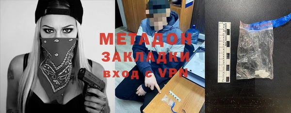 прущие грибы Магадан