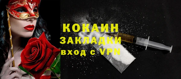 прущие грибы Магадан