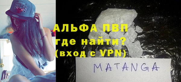 прущие грибы Магадан