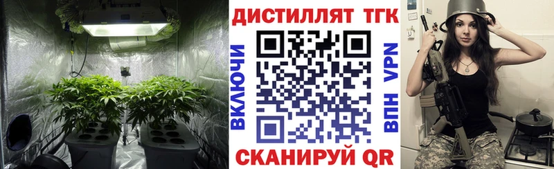 Дистиллят ТГК гашишное масло  где продают наркотики  Новотитаровская 